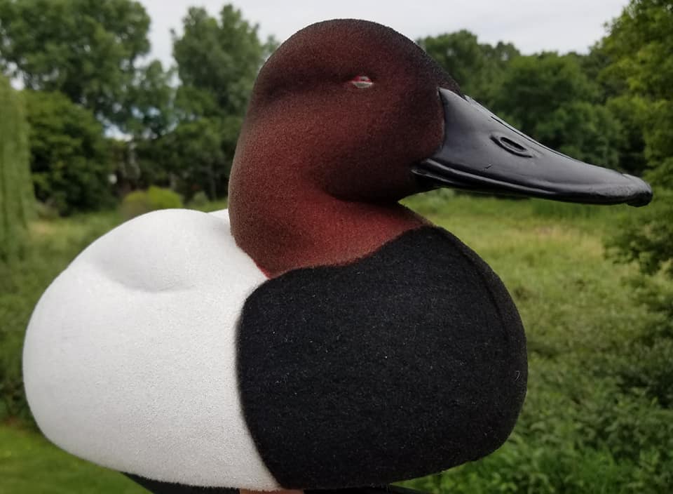 Bull Canvasback Full Body Decoy Flocking Kit Flocking Unlimited