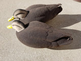 Black Duck Full Body Decoy Flocking Kit