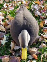 Black Duck Full Body Decoy Flocking Kit