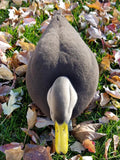 Black Duck Full Body Decoy Flocking Kit