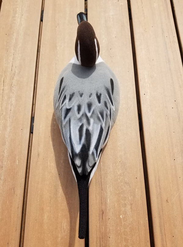 Pintail Decoy Flocking Kit FREE SHIPPING! – Flocking Unlimited